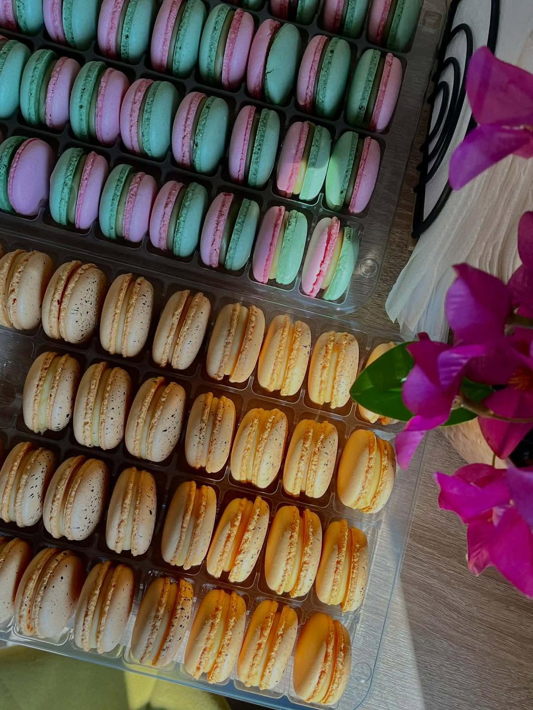 Többszínű macaronok sorokba rendezve