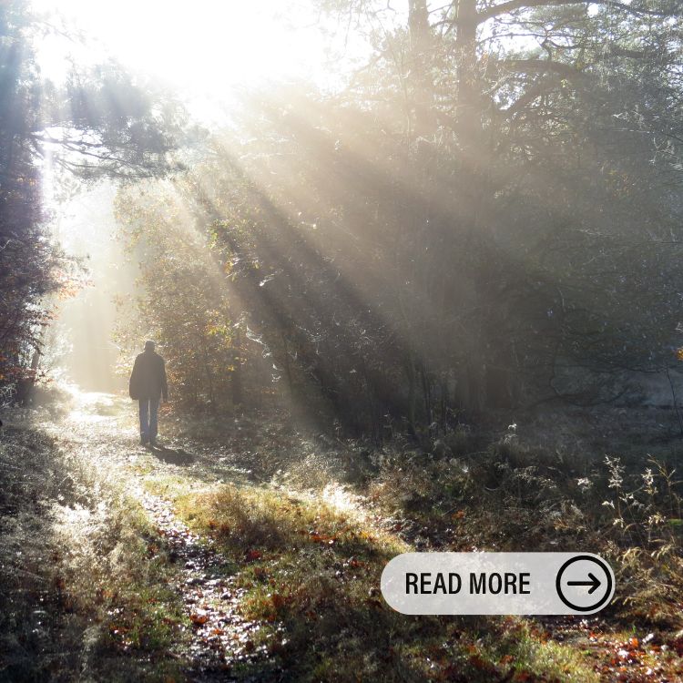 A person walks alone on a winding nature path, lost in thought. The image conveys feelings of depression and grief.