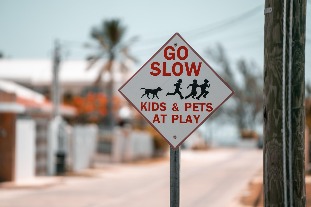 Neighborhoods and children convenience and commonality