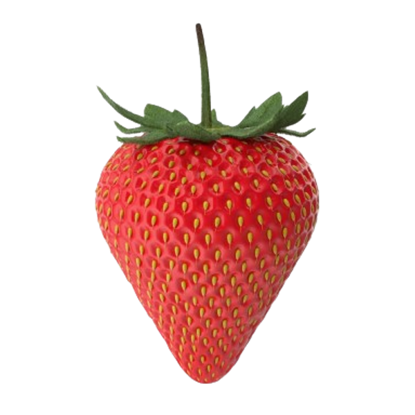 Cat_fitness-nutricion14