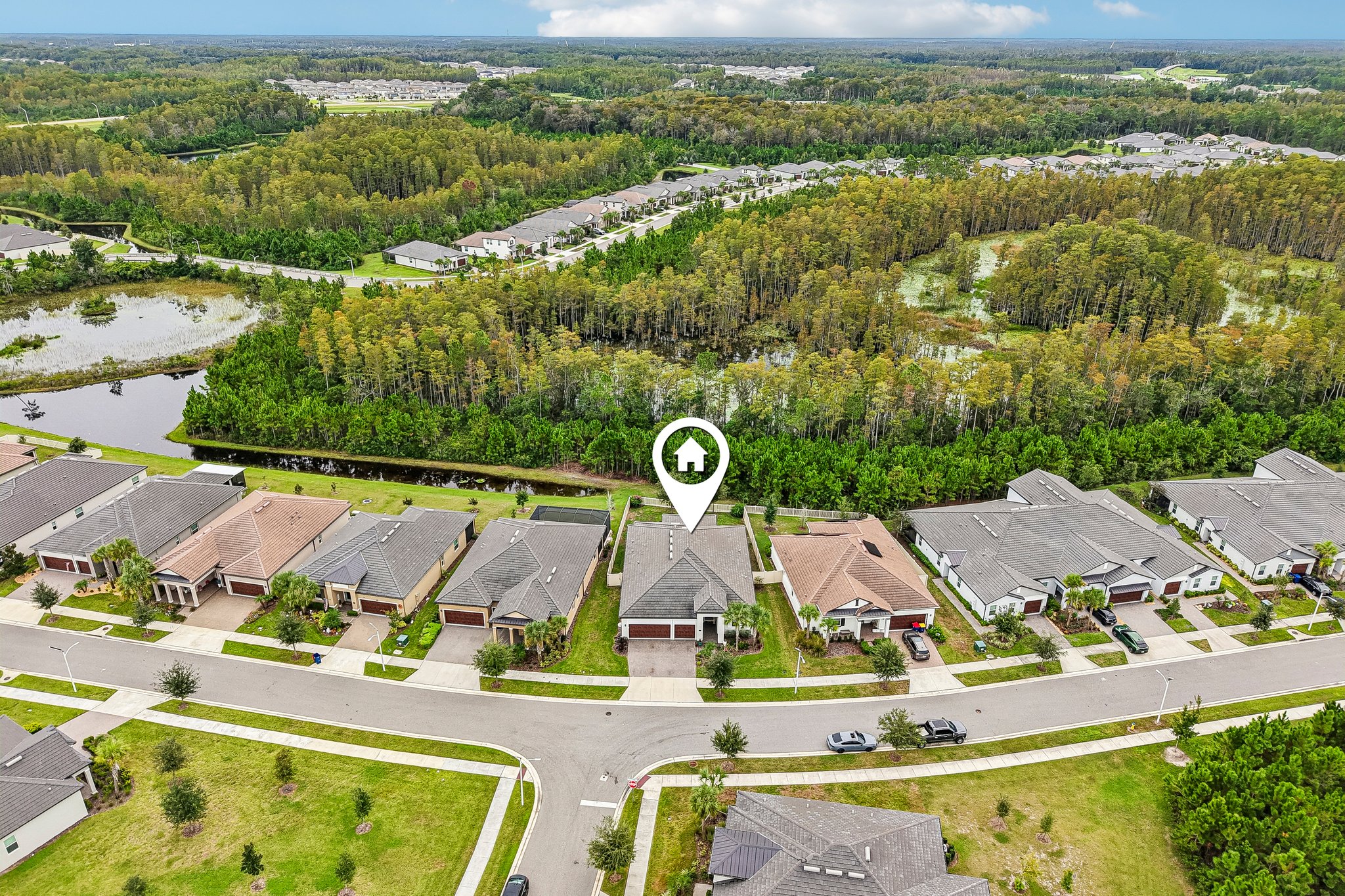 aerial showing the home's position against the conservation area