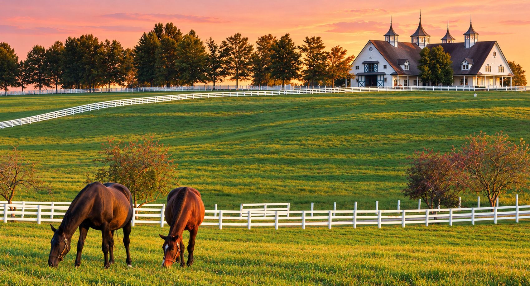 Horses grazing by a white board fence on a Kentucky horse farm