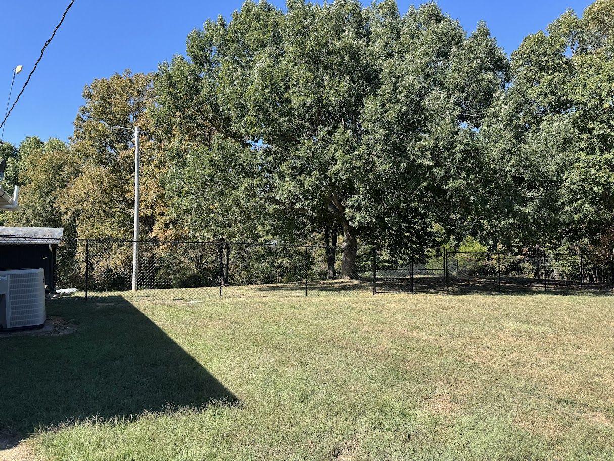 Black chain link fence in a backyard