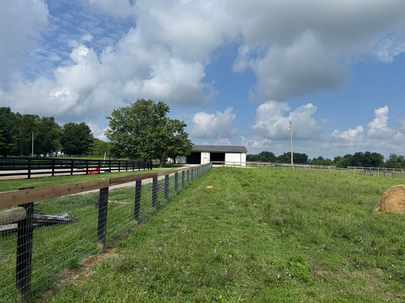 Woven wire horse fence with a board top