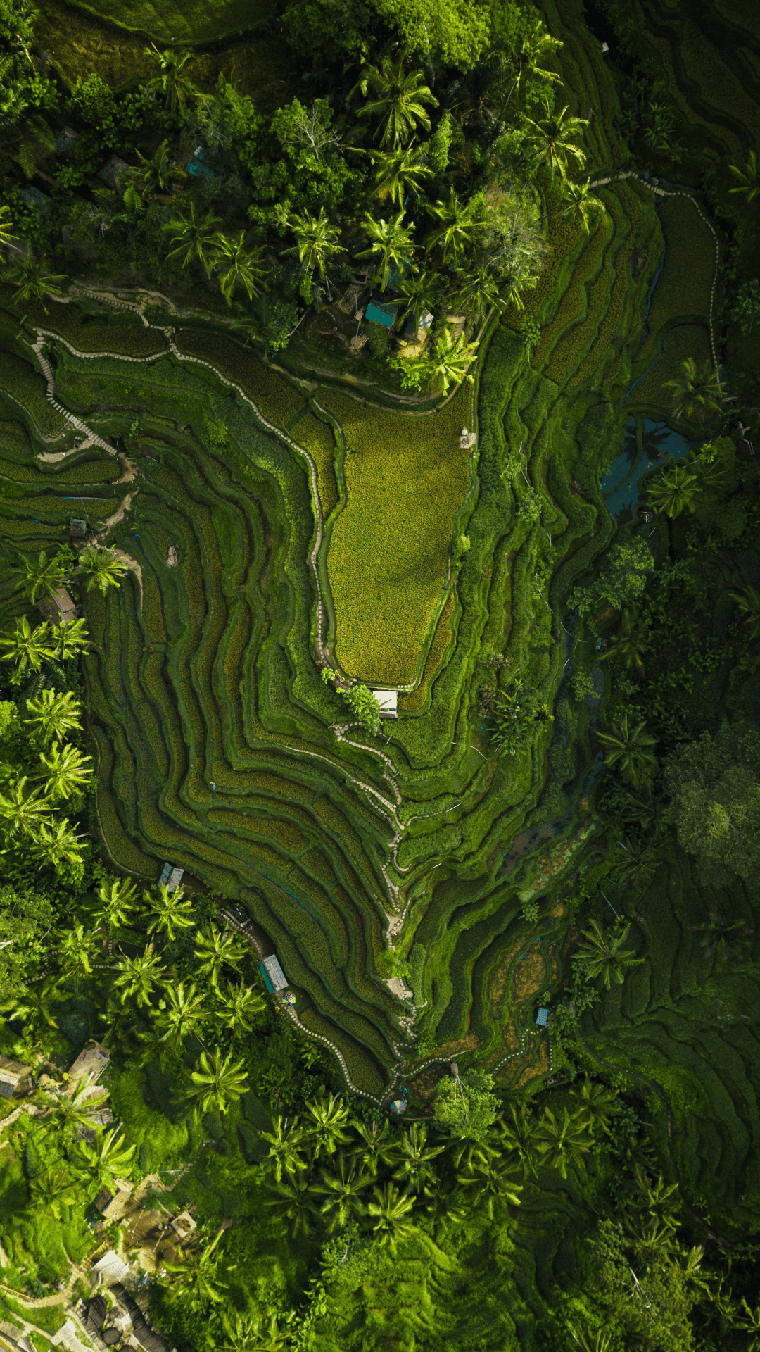 Ignite Your Soul Bali