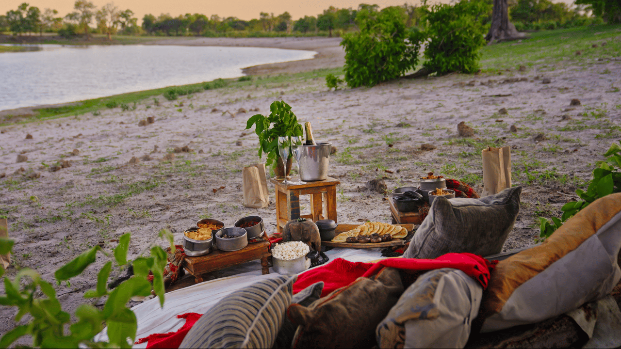 Wild Eye Retreat immersion
