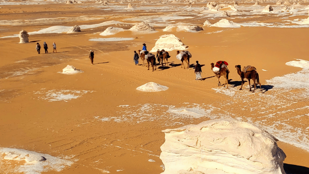 The White Desert
