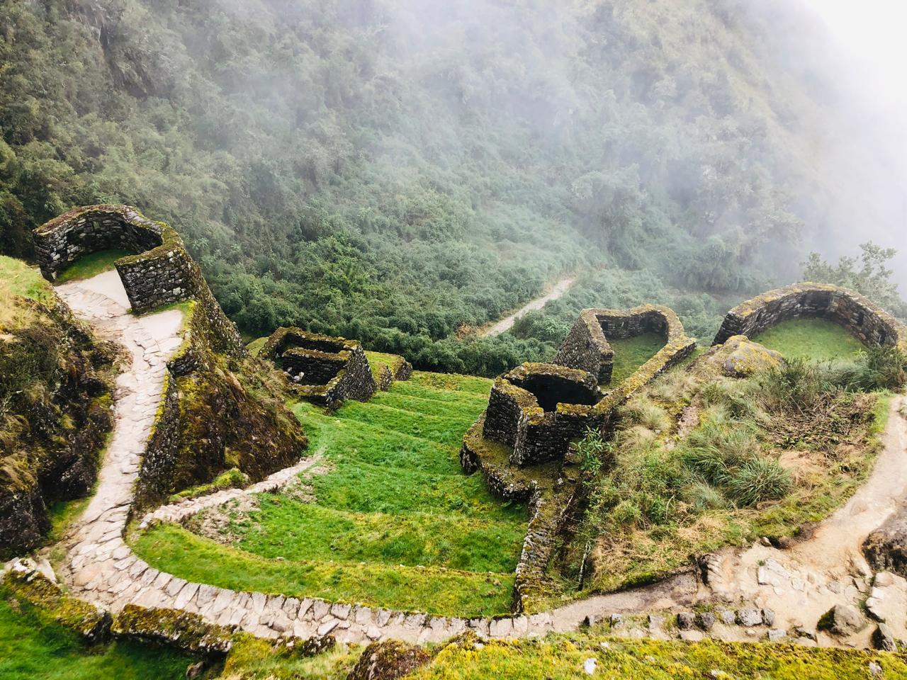 The Ascent and the Cloud Forest