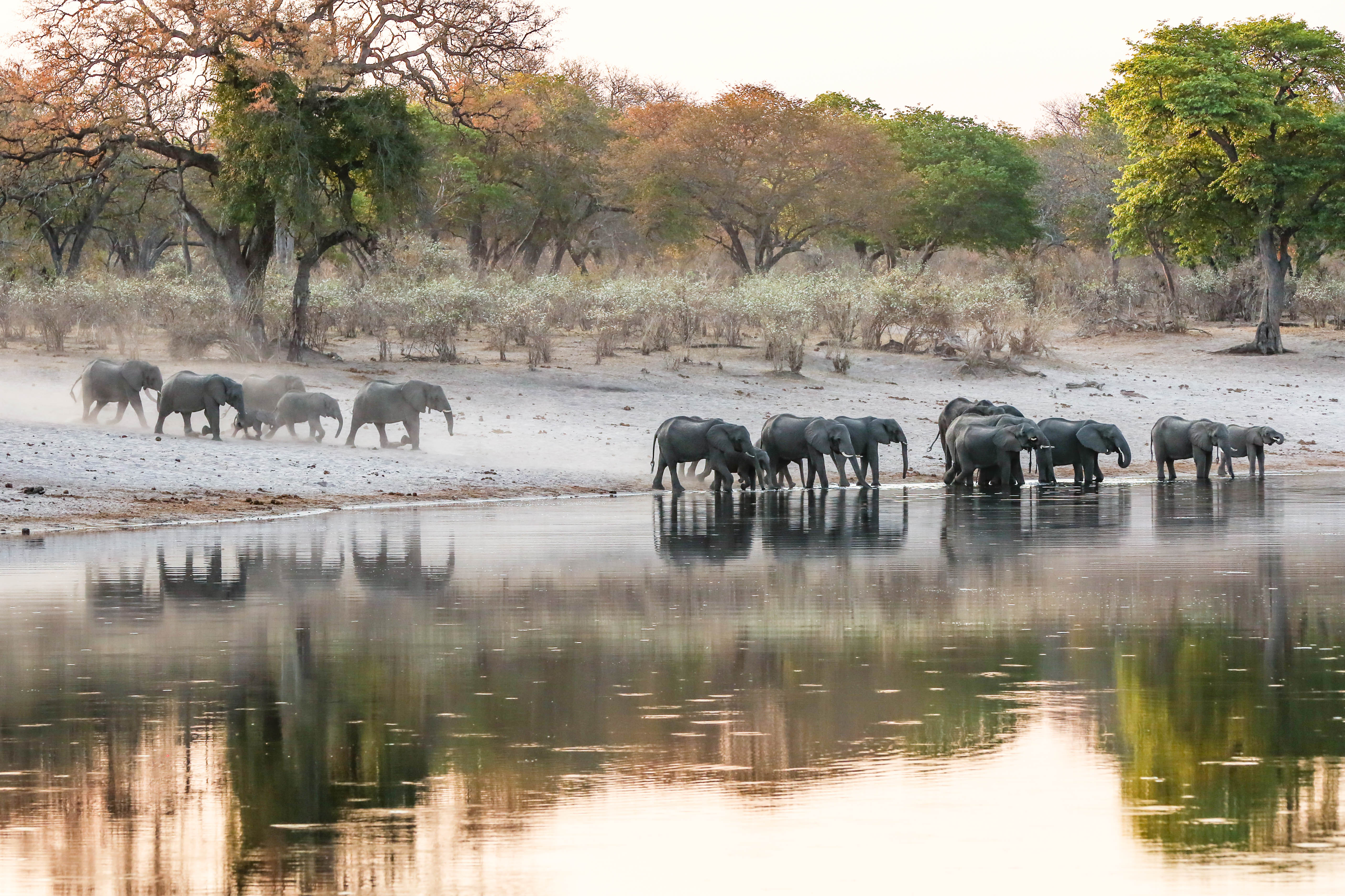 Kintsugi retreat experience in Namibia