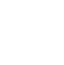 Success Icon