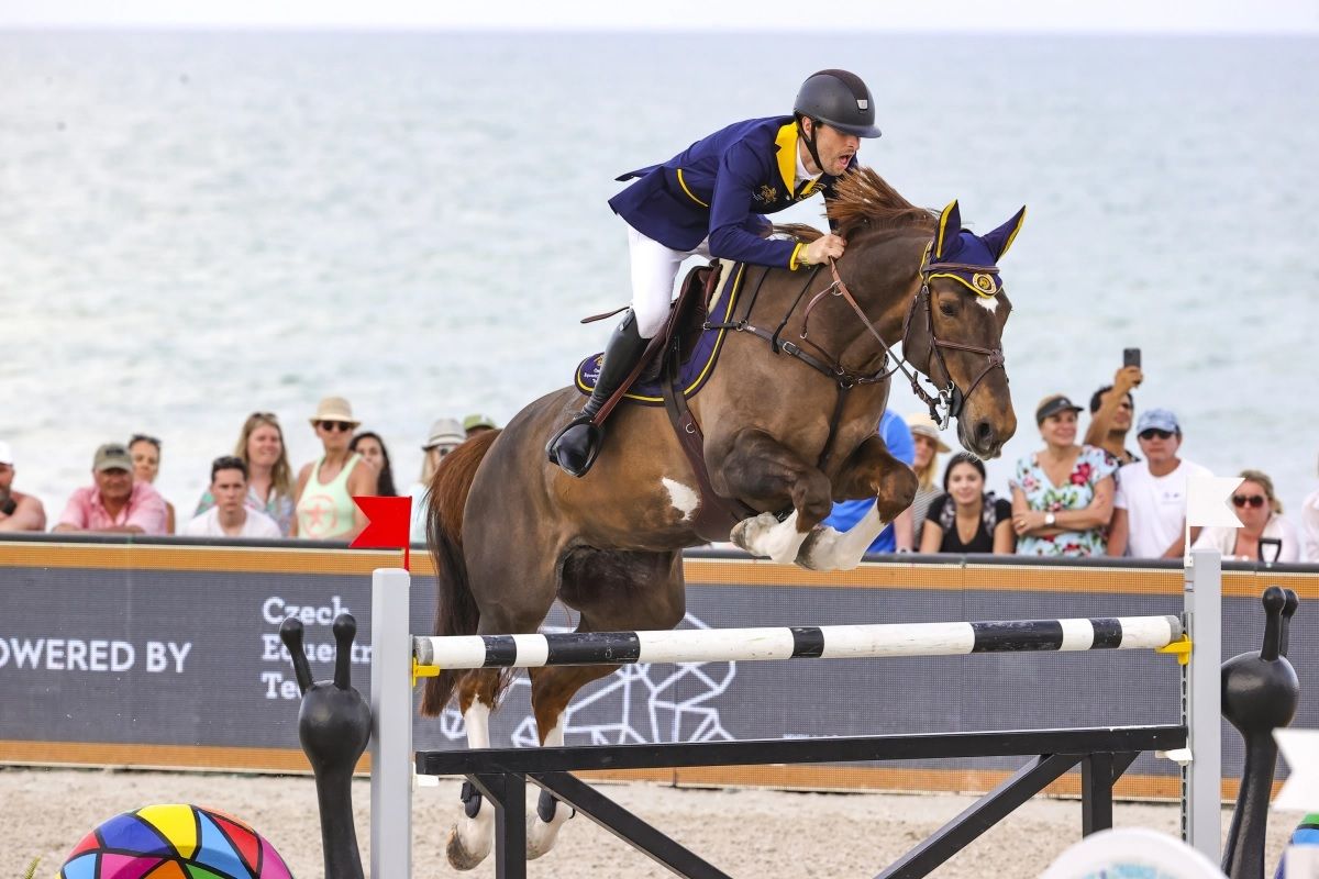 Best 16-year-old horses in 2023