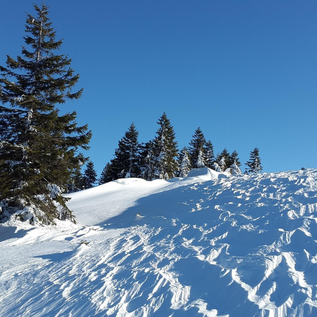 snow kite met flysurfer kites