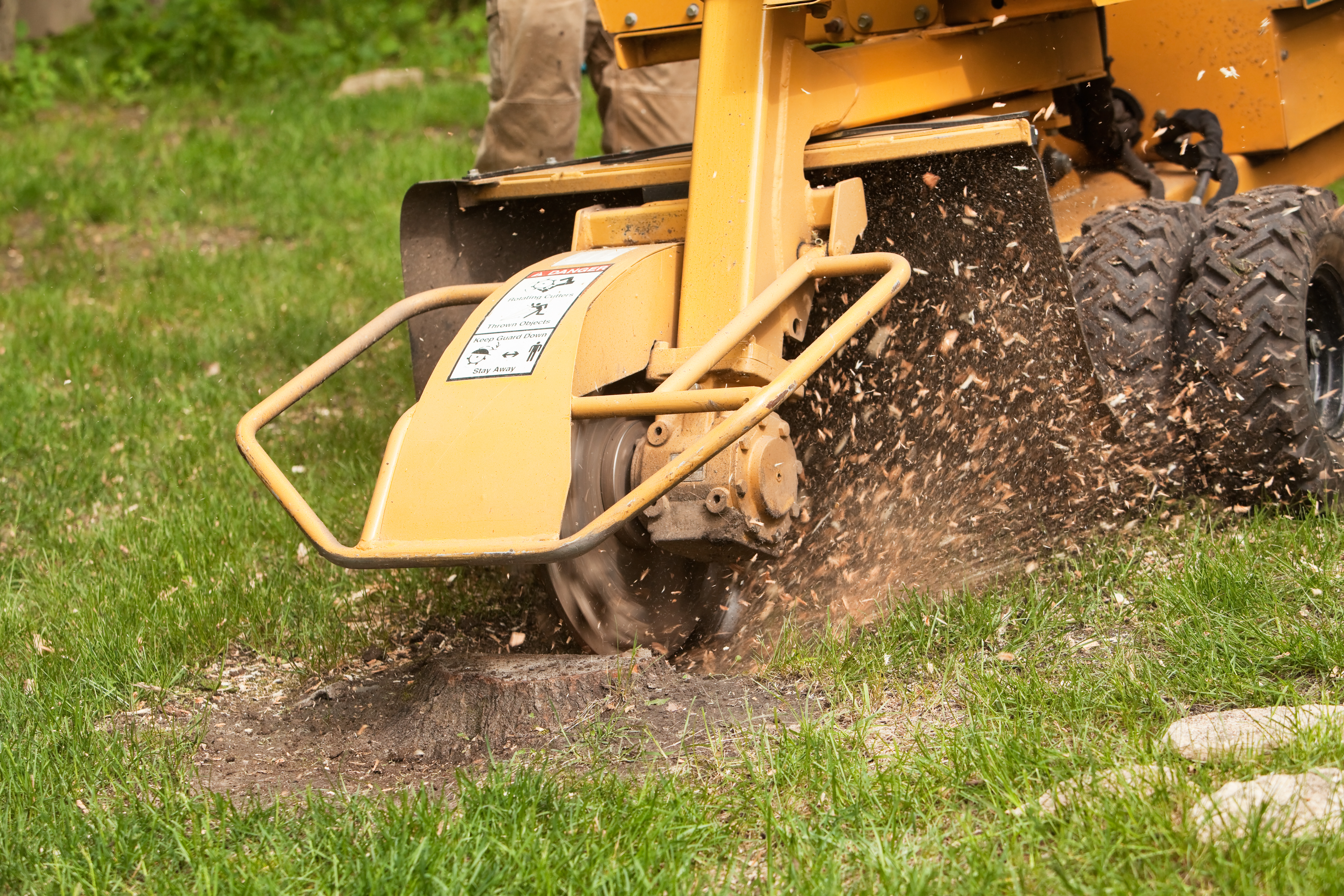 Stump Grinding — Orduna Tree Expert