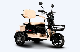 Autopropelido Triciclo Big Tri