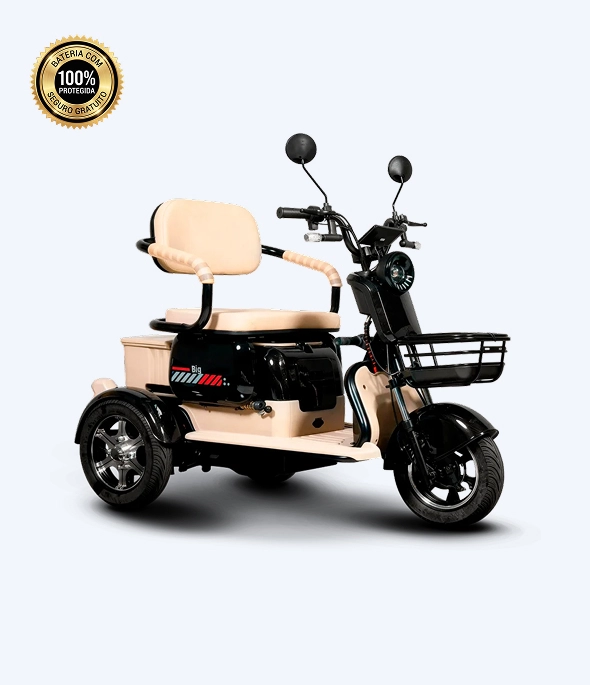 Autopropelido Triciclo Big Tri 1000W