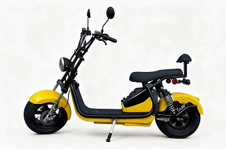 Scooter Elétrica Plus 3.0