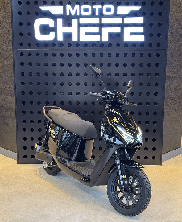 Autopropelido R10 1000W