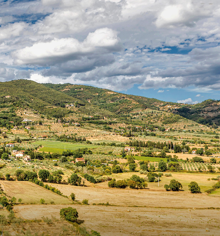 Colli aretini - campagna toscana vicino ad Arezzo