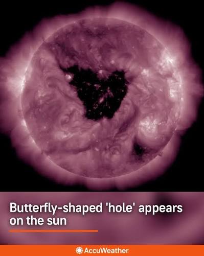Butterfly-Shaped Hole on Sun