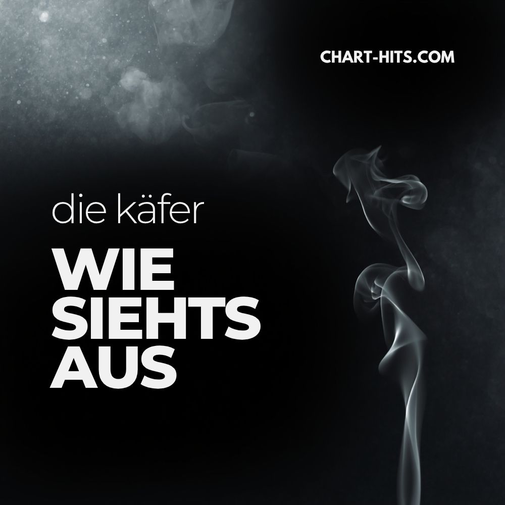 Wie Siehts Aus