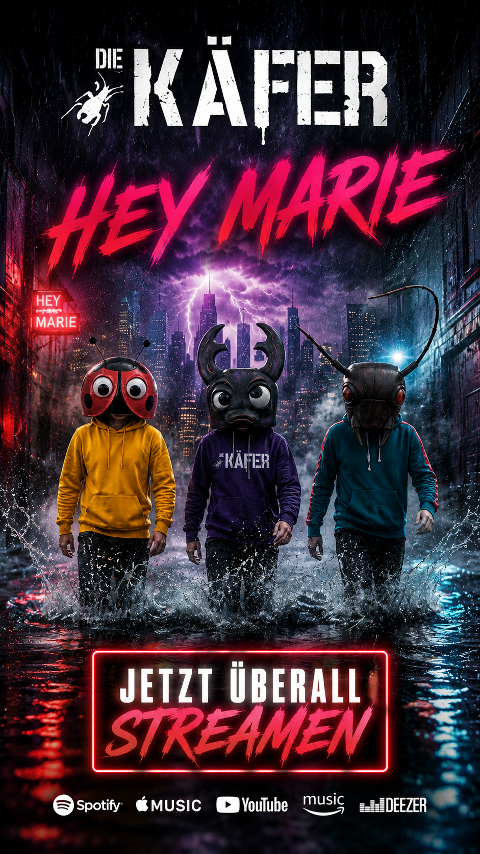 HEY MARIE — Die Käfer recovered signal artwork