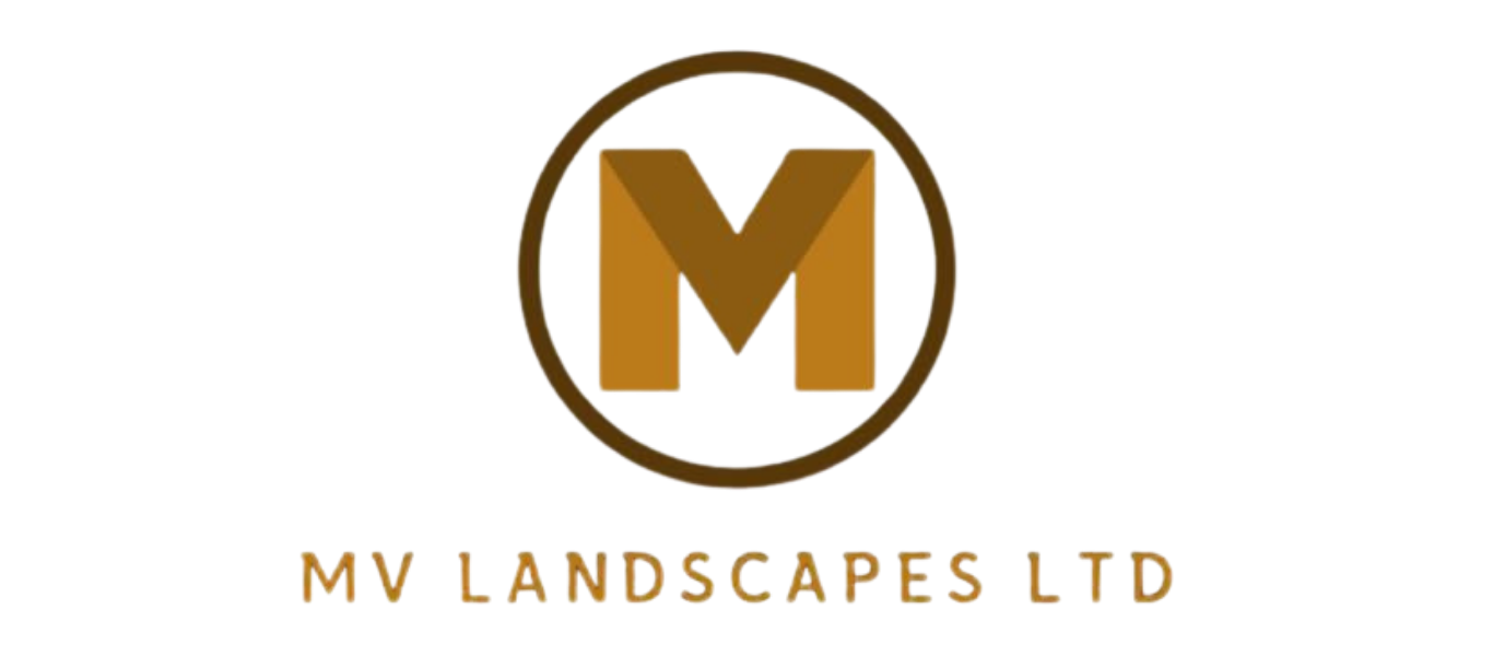 MV Landscapes