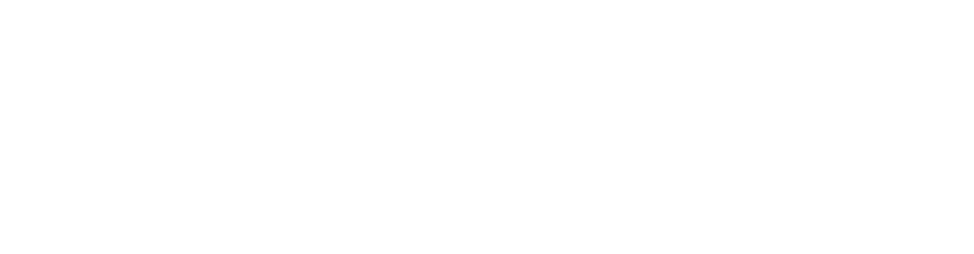 Rising Star Developer