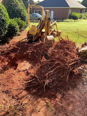 {{ custom_values.service_1 }} in {{custom_values.area_7})