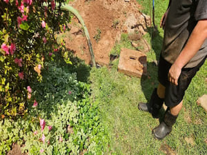 {{ custom_values.service_3 }} in {{custom_values.area_7})