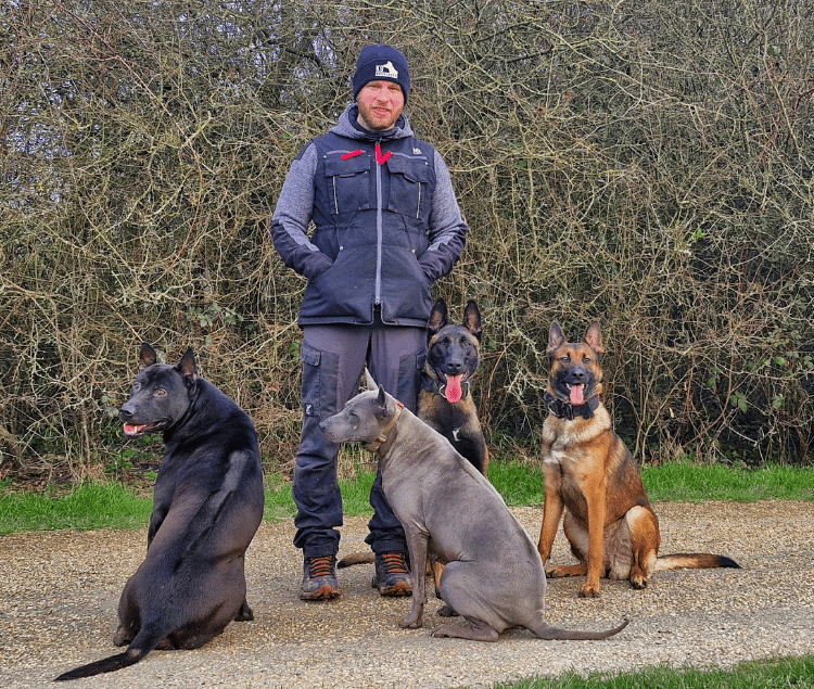 Your Dog Doesn't Need to Be Perfect — They Need to Make Better Choices