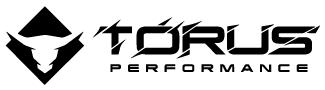 Logo Torus Performance