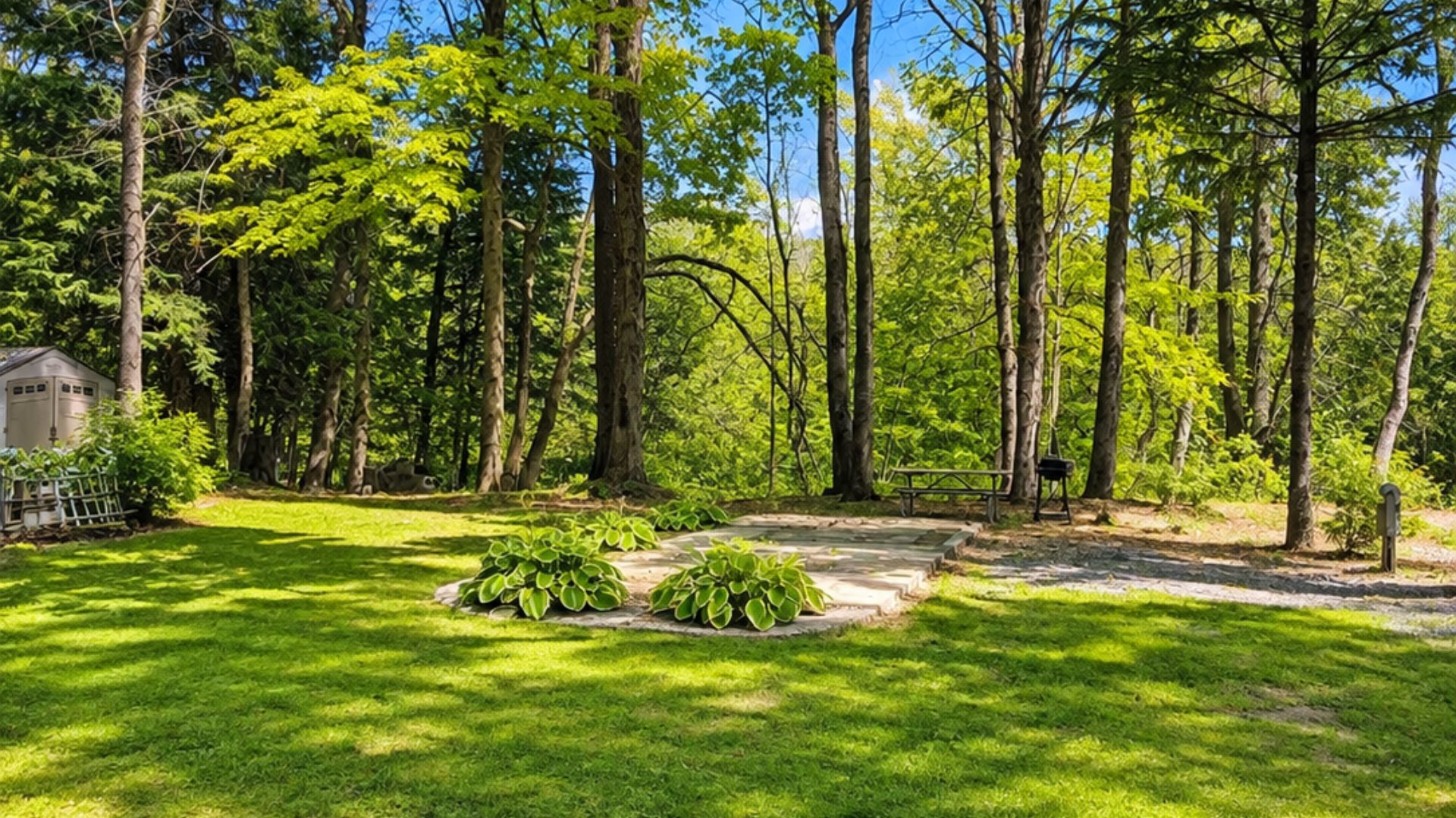 Spacious Premium Trailfront RV campsite beside a wooded nature trail at West Canada Creek Campground in Poland, NY