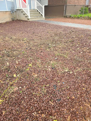 {{ custom_values.service_3 }} in {{custom_values.area_5})