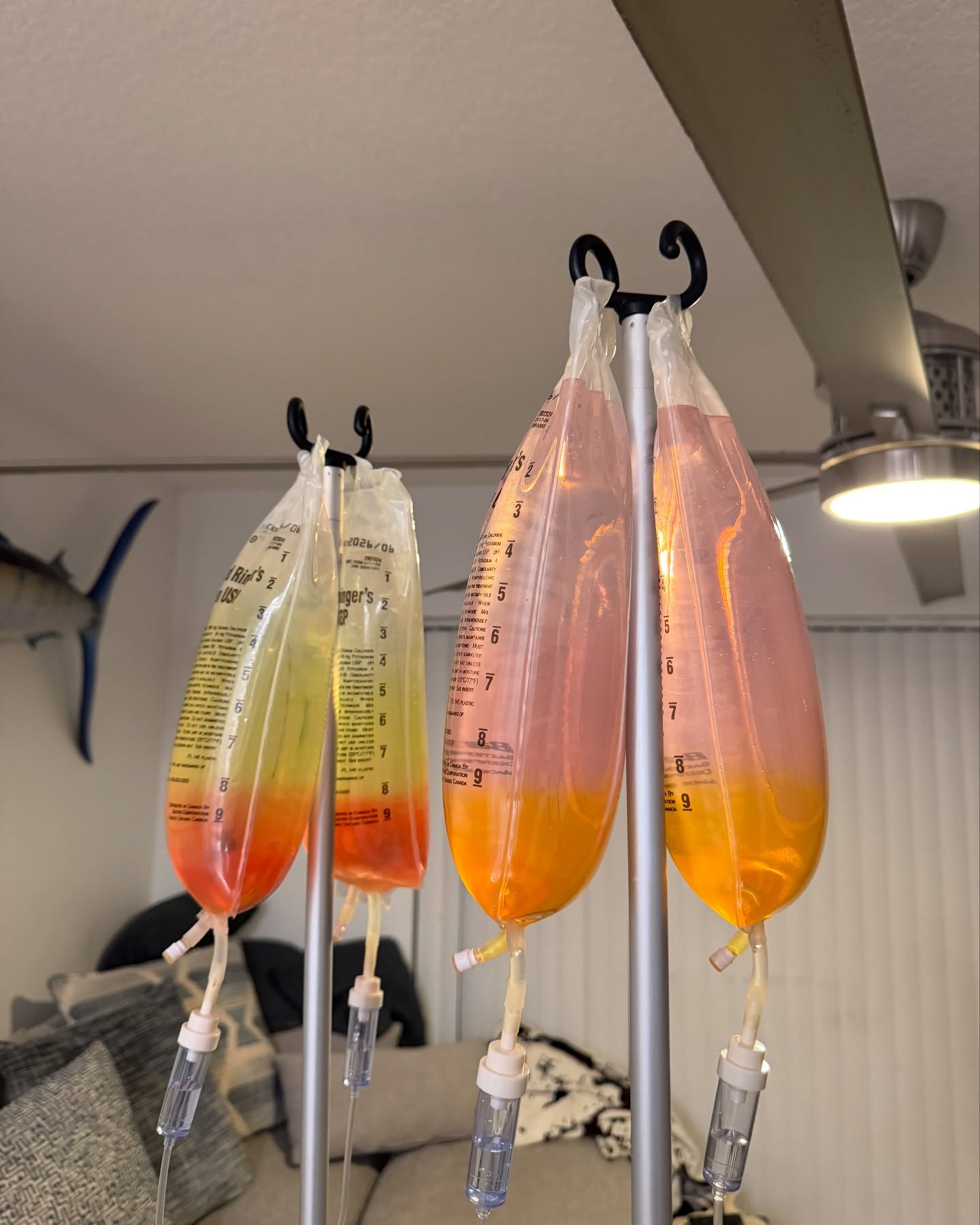 Two medical-grade IV vitamin bags hanging, ready to infuse