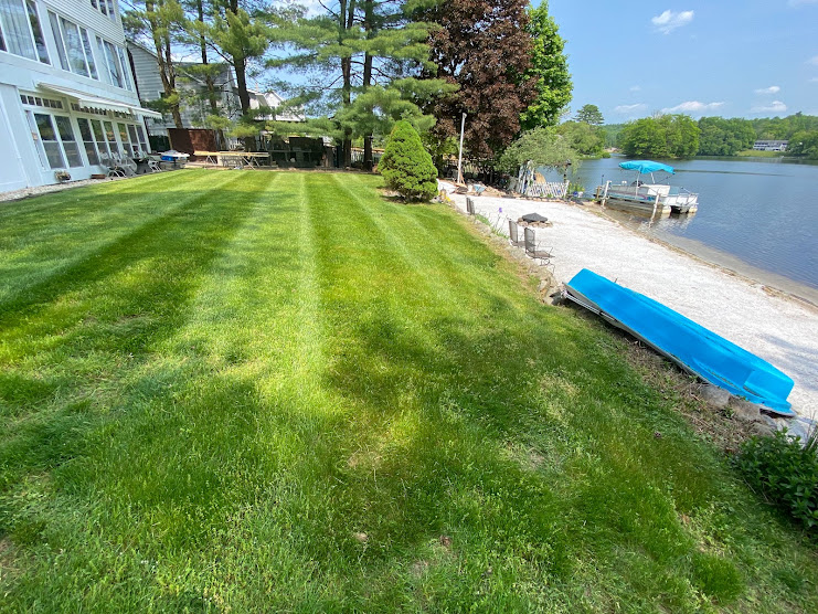 Complete Lawn Care Result