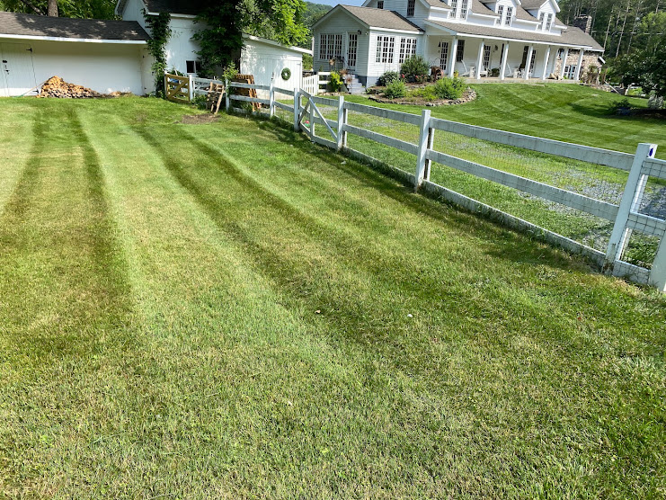 Edging Along Garden Beds