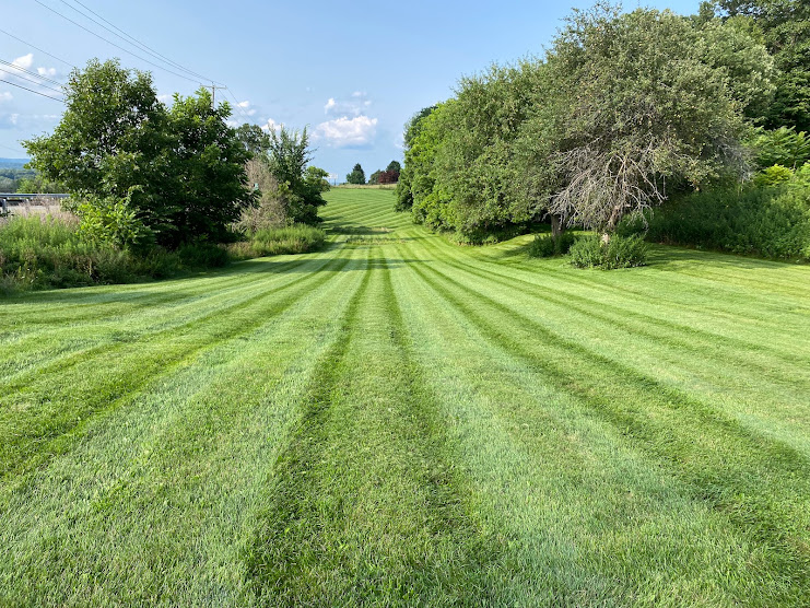 Backyard Mowing Precision