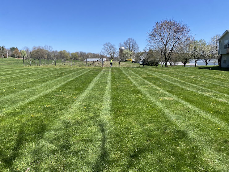Lush Turf After Mow