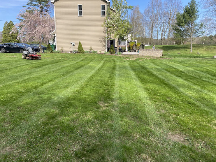 New Lawn Install & Grading