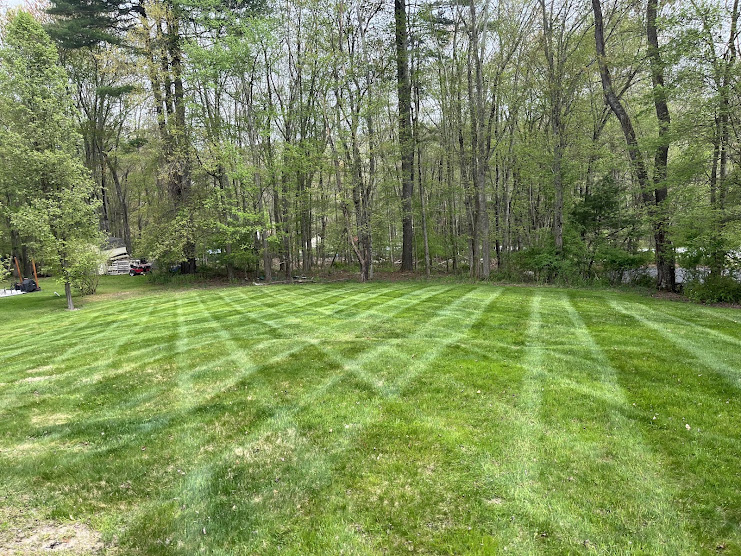 Spring Cleanup & Mulch Refresh