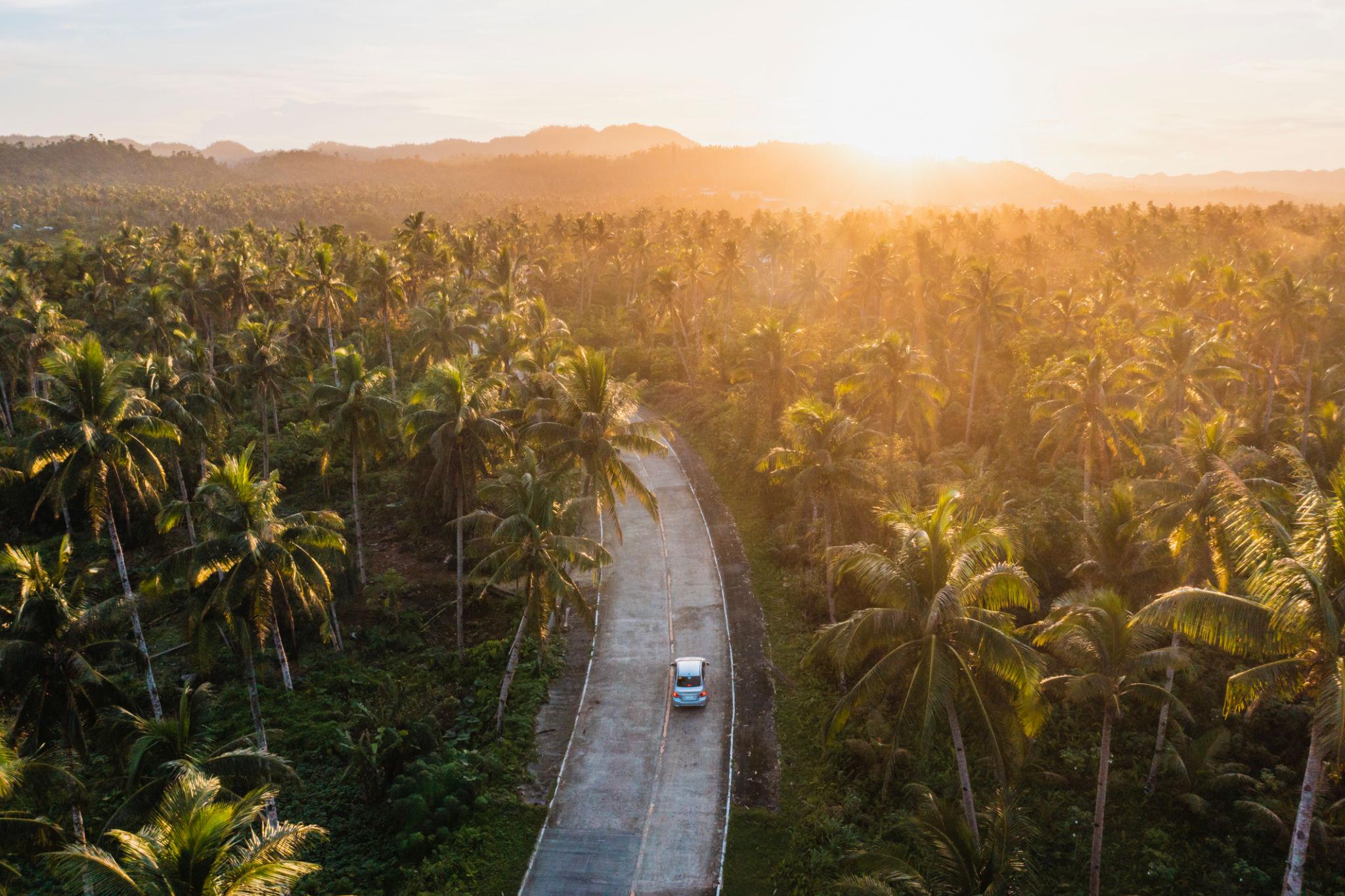 Siargao road through palm trees, as photographed by XyRentals