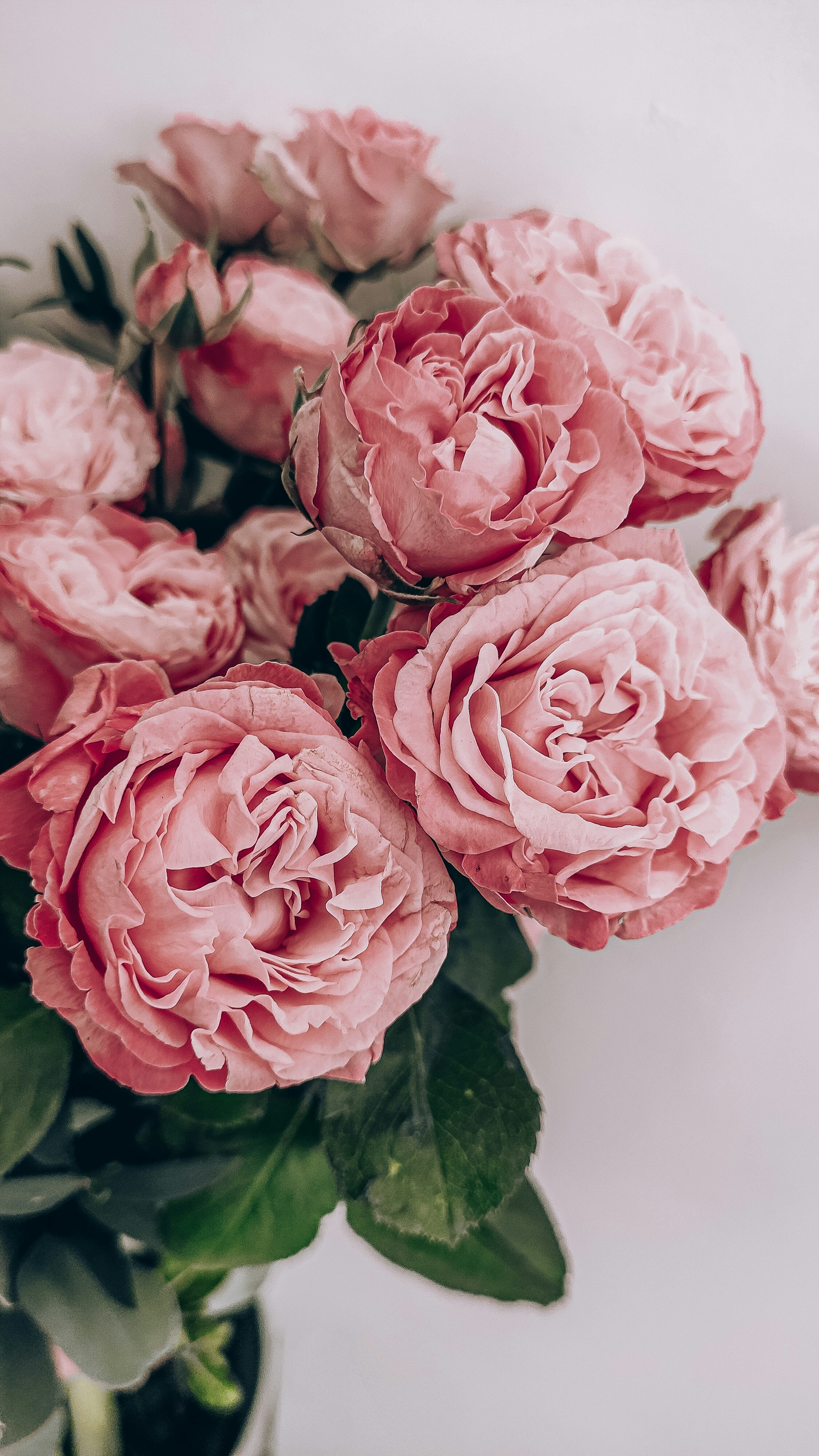 Luxury Floral Background