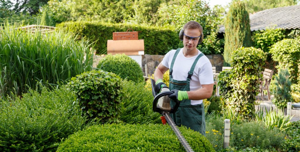 Valley Green Landscaping supplied photo of greenery