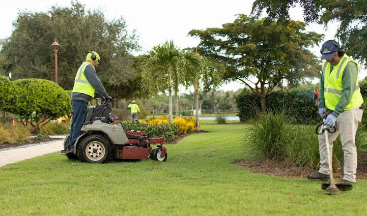 Valley Green Landscaping supplied image 6, outdoor visual showcase