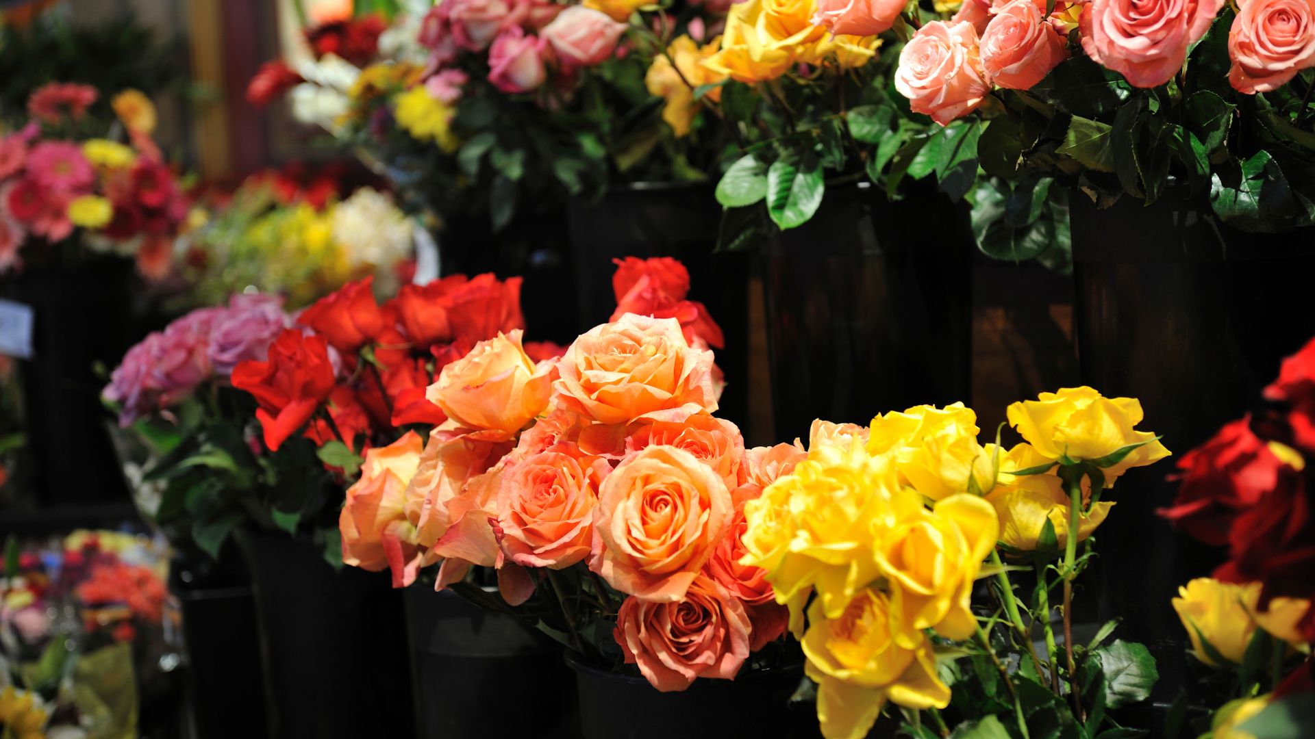 Artfully composed floral photography for Wandering Vine Co.