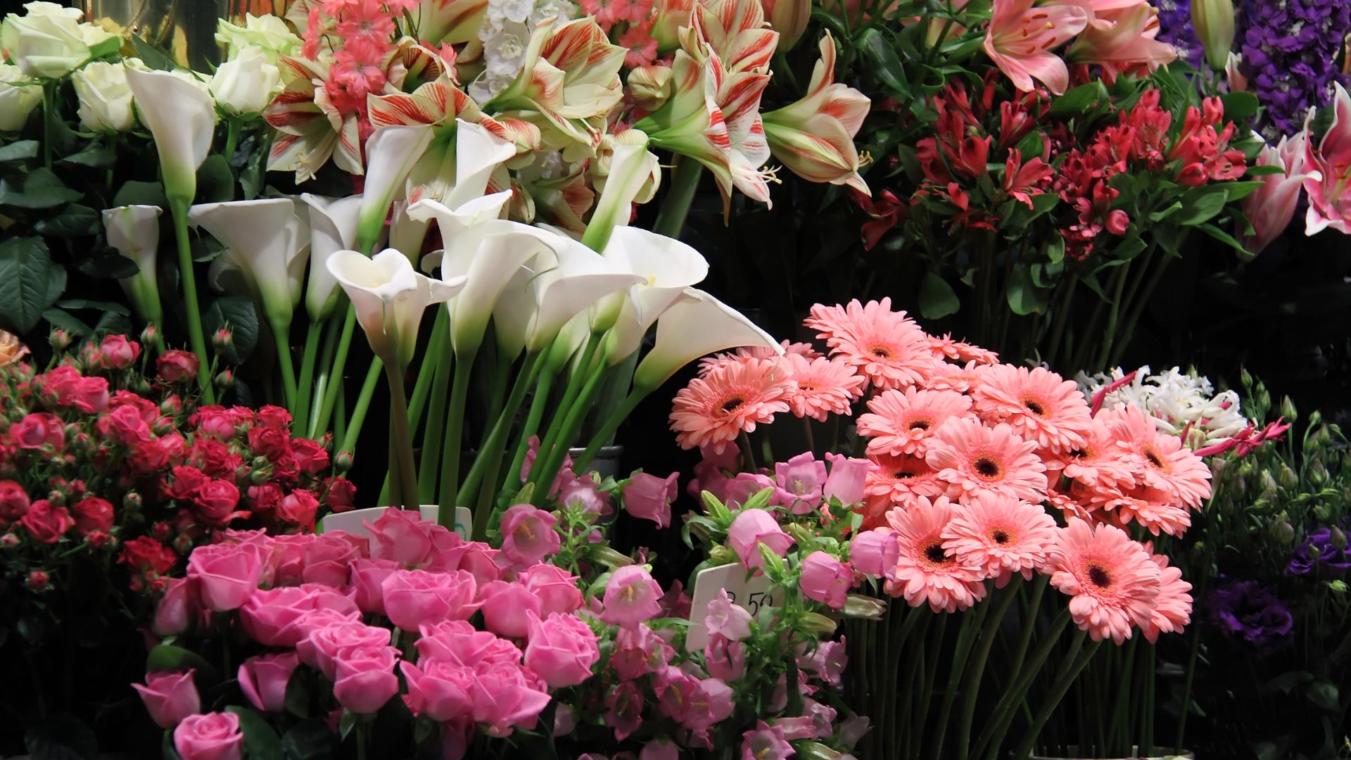 Creative flowers, botanical detail and event styling inspiration