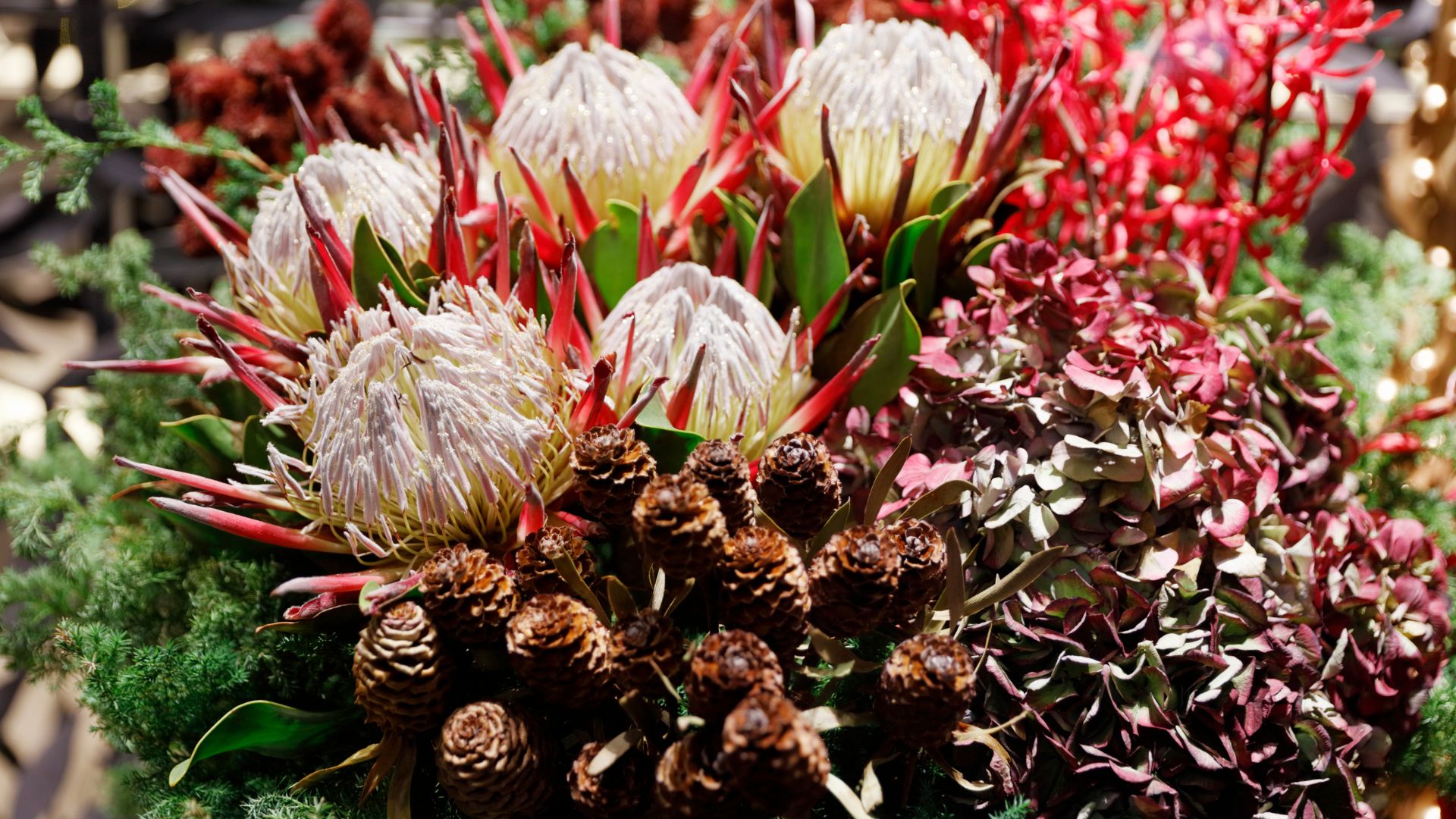 Seasonal flowers arranged by Wandering Vine Co., San Francisco florist
