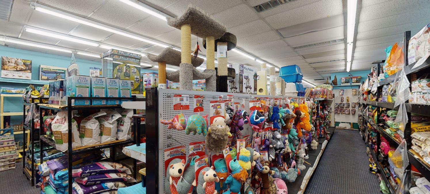 Inside the independently owned pet shop