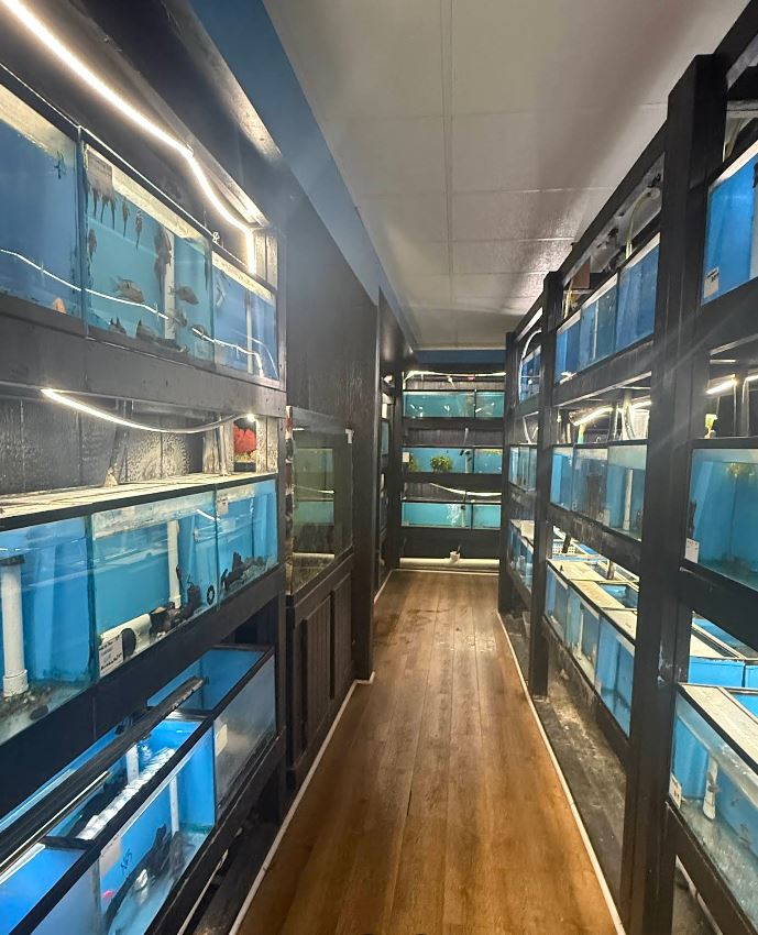 Aisle of illuminated aquariums at World Wide Aquarium & Pets