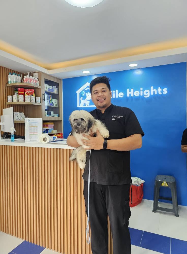 Veterinary staff member holding a small fluffy dog inside the clinic